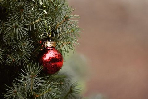 ODBĚROVÁ MÍSTA COVID-19: Otevírací doba po dobu Vánočních svátků